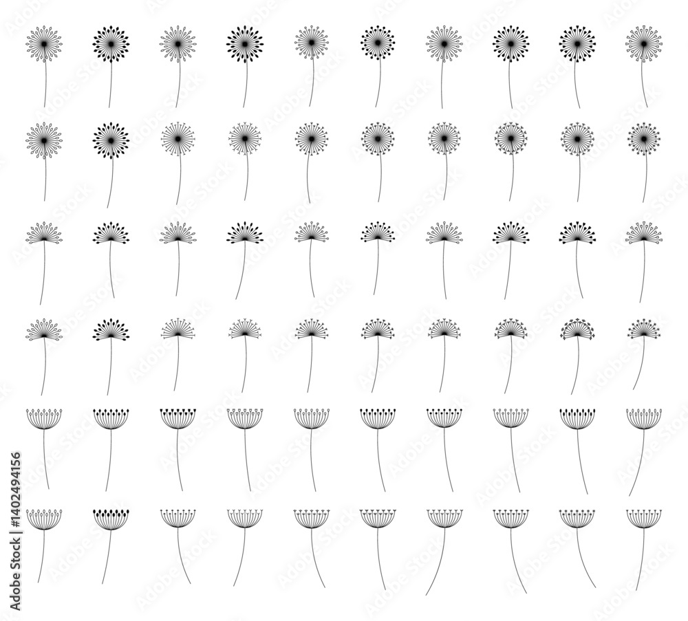 Obraz premium Dandelion Flower Outline