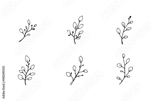 Honey Locust leaf line art