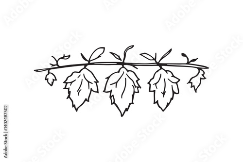 Hops leaf line art