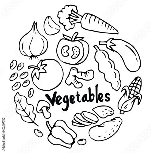 vegetables element doodle set. hand drawn sketch fruit and vegetables vector illustration	