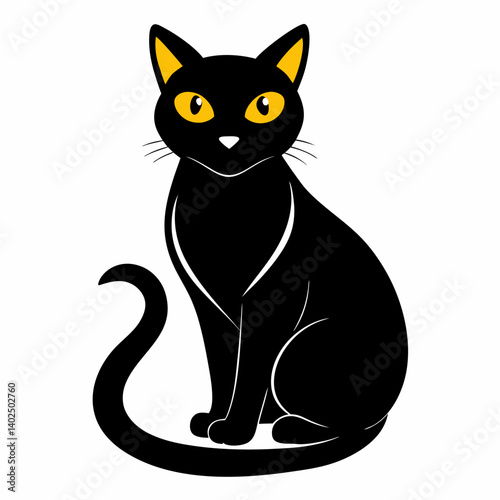 black and white cat