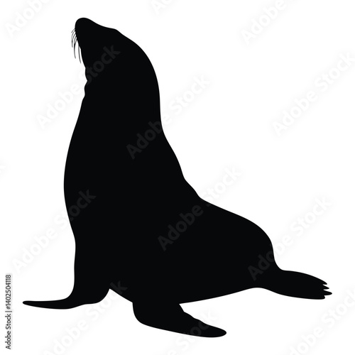 Sea Lion Silhouette – Marine Animal Vector Art