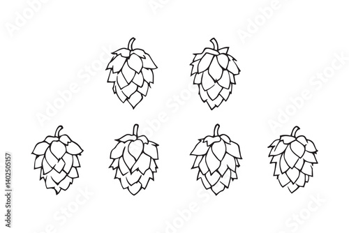 Hops line art