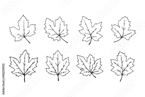 Horse Chestnut leaf line art