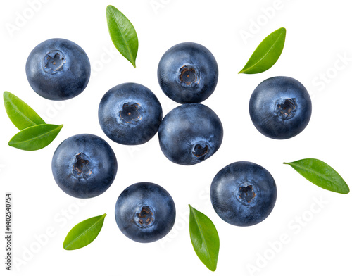 Blueberry isolated png. Blueberry with leaf top view on transparent background. Perfect retouched blueberry with leaves no background. Png blueberries collection. Full depth of field. photo