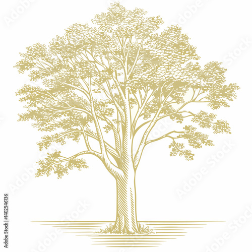 Elegant Tree Illustration on White Background for Nature and Design Projects