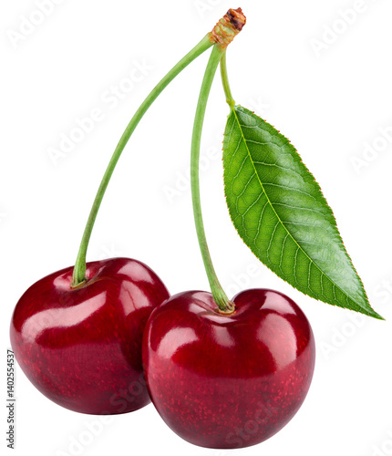 Cherry isolated png. Sour cherry with leaf on white or transparent background. Perfect retouched two cherries on branch with leaves no background.  Png cherry. Full depth of field.