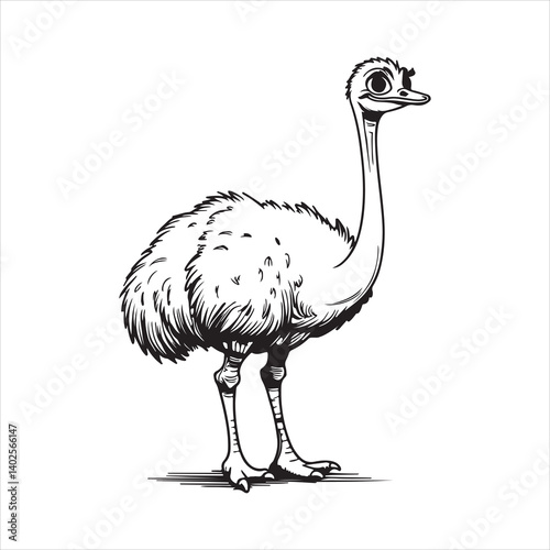 Ostrich Coloring Page Vector Art,
Adorable Ostrich Outline for Kids and Adults
Wildlife Ostrich Line Art Design,,
Nature Animal Ostrich Cartoon Drawing,
