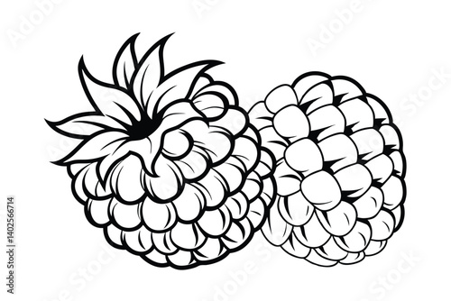 Two Raspberries Line Art, Black and White Fruit Illustration