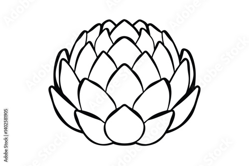 Elegant Artichoke Vegetable Isolated On White Background Fresh Healthy Food Monochrome Hand Drawn Outline Vector Illustration