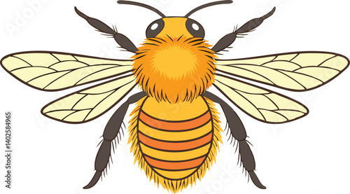 Realistic Detailed Vector Illustration of a Honeybee – EPS Format Design