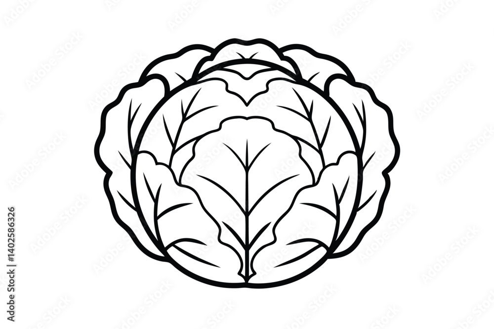 Obraz premium Cabbage Vegetable Vector Line Art Fresh Farm Produce Healthy Eating Vegan Diet Ingredient Simple Outline Illustration