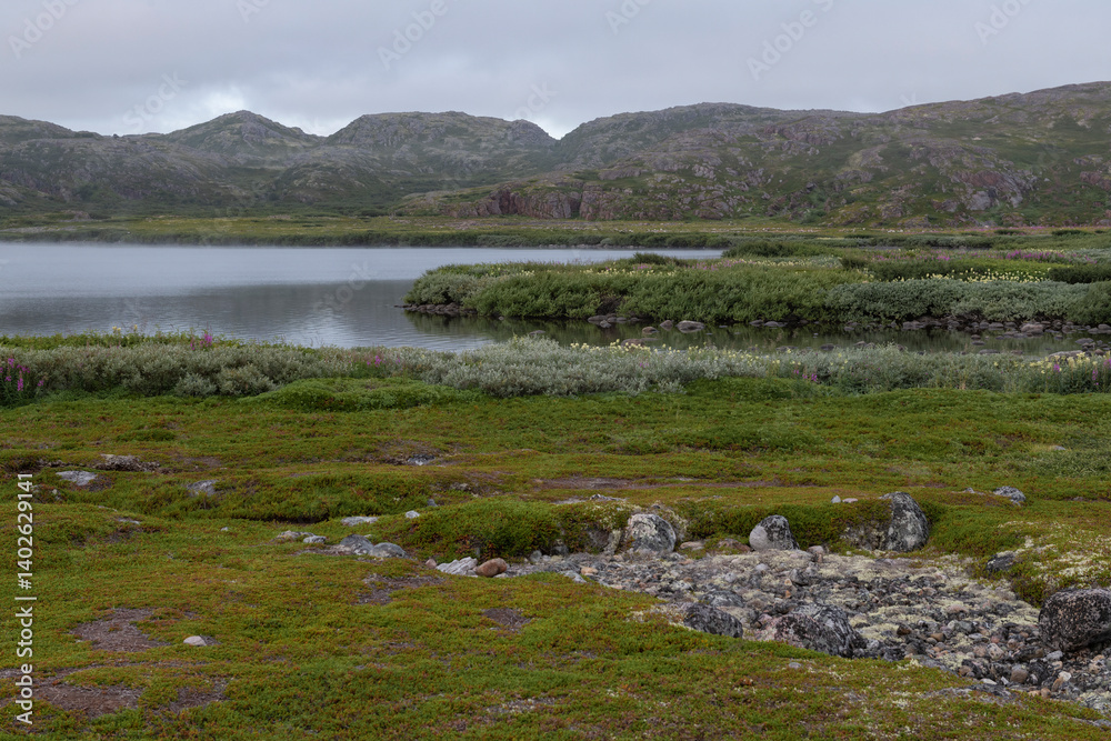 In the vicinity of the polar village of Teriberka on a July morning. Murmansk region, Russia