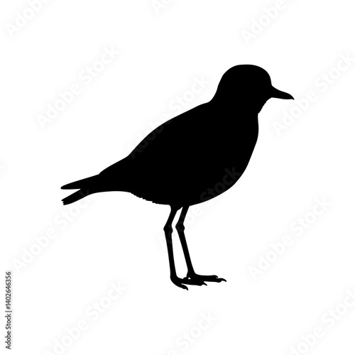 Golden plover silhouette vector flat illustration design.