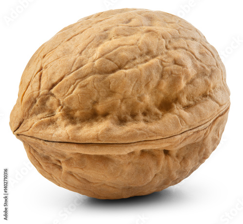 Walnut isolated png. Unpeeled walnut on white or transparent background. Perfect retouched walnut nut with shell no background. Side view. Full depth of field.