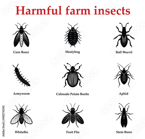 Set Silhouettes of Harmful farm insects part 1 on White background