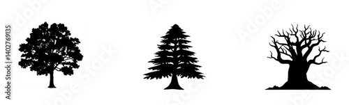 Solitary Tree Silhouettes Black Poses Highlighting Nature's Beauty.
