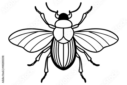 High-quality vector illustration of various insects, ideal for scientific, educational, and design purposes. This detailed and scalable artwork features common insect species such as mosquitoes, flies