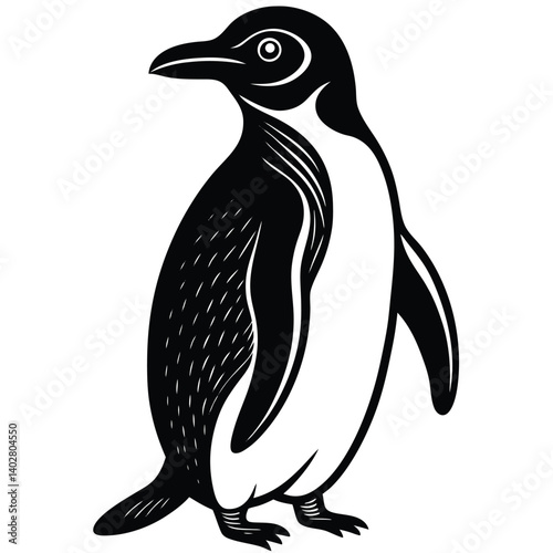 Cute black and white penguin vector illustration, isolated winter bird