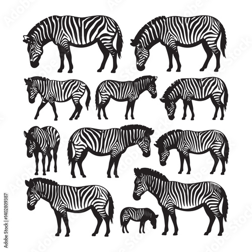  vector illustration of twelve zebra silhouettes in various poses, detailed striped wild animal artwork for nature, safari, and wildlife themed designs