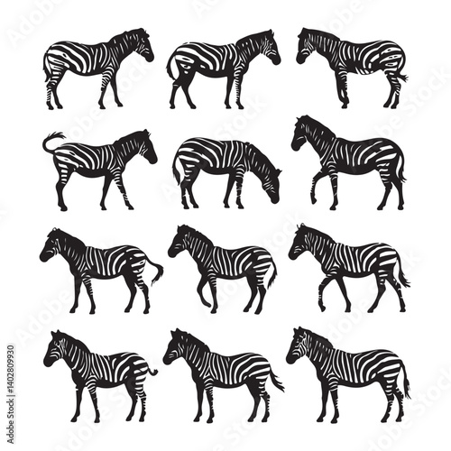  vector illustration of twelve zebra silhouettes in various poses, detailed striped wild animal artwork for nature, safari, and wildlife themed designs