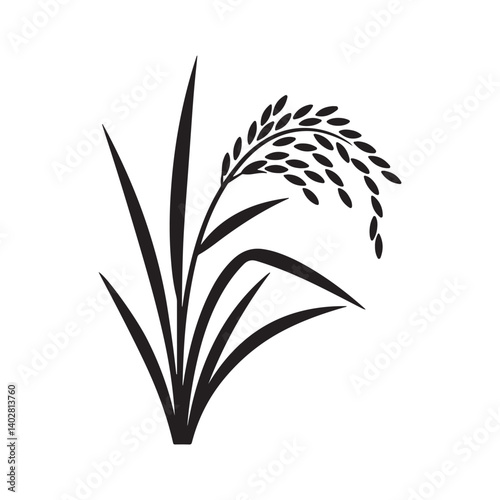  Black and white vector illustration of a rice plant with stalk and grains, ideal for agricultural, farming, organic produce, or botanical-themed concepts and designs