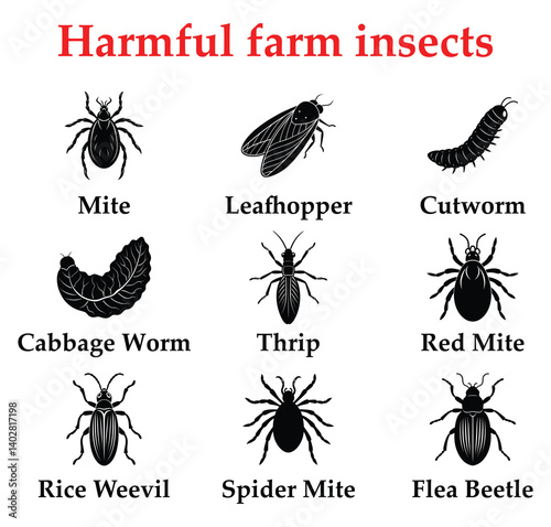 Harmful farm insects set part 2 on White background. Thrip, Mite, Spider Mite, Red Mite, Cutworm, Cabbage Worm, Rice Weevil, Flea Beetle, Leafhopper, 