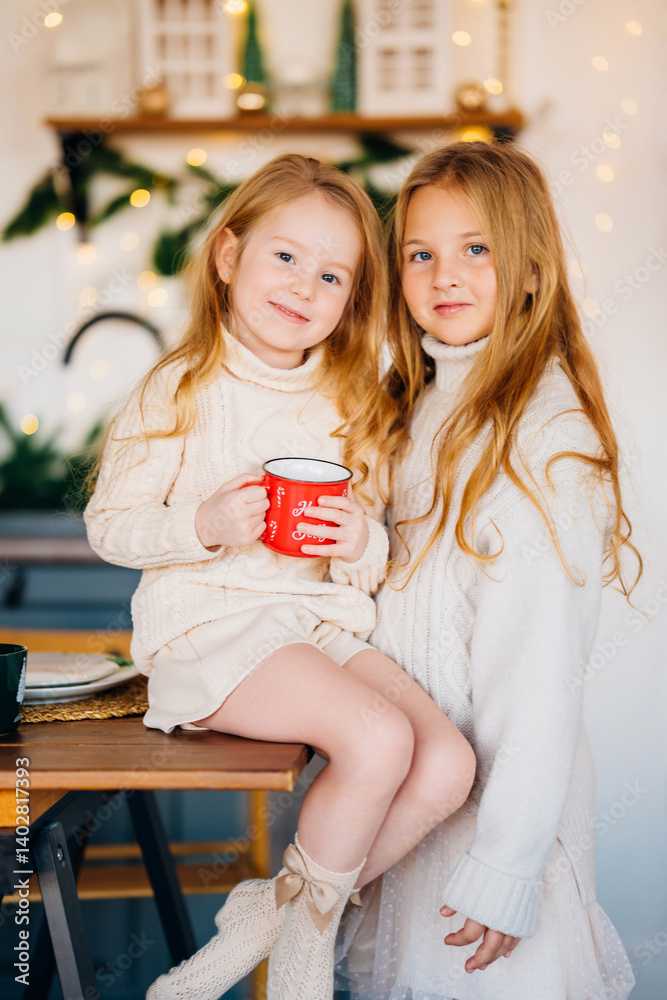 Two cute sisters in the New Year's decor of the kitchen.