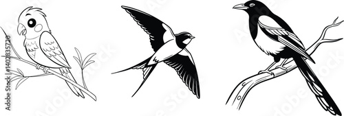 Barn Swallow, Magpie, and Parakeet Bird Illustrations – Songbirds and Pet Birds in Art