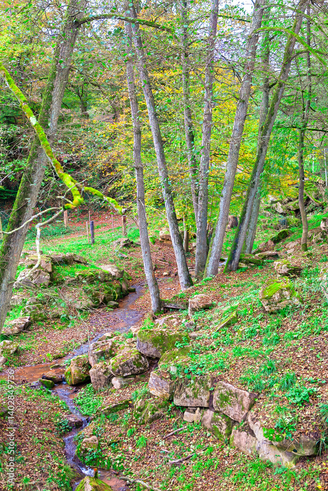 Obraz premium Small stream trickles through a forest valley, surrounded by mossy rocks and tall trees with hints of autumnal yellow. Serene, natural setting with a mix of green and earthy tones