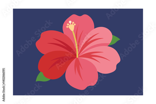 hibiscus flower vector illustration