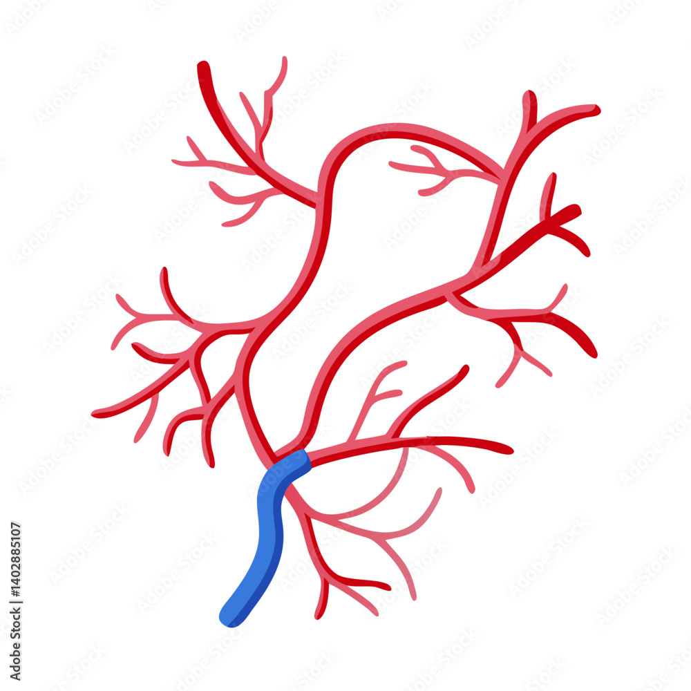Branching Arteries Icon Representing Blood Circulation and Vascular System Branching Arteries Icon Representing Blood Circulation and Vascular System