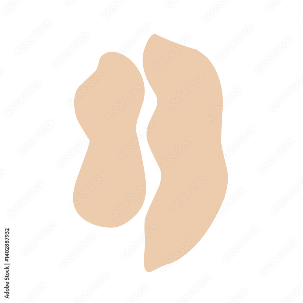 Peanuts vector illustration Peanuts vector illustration