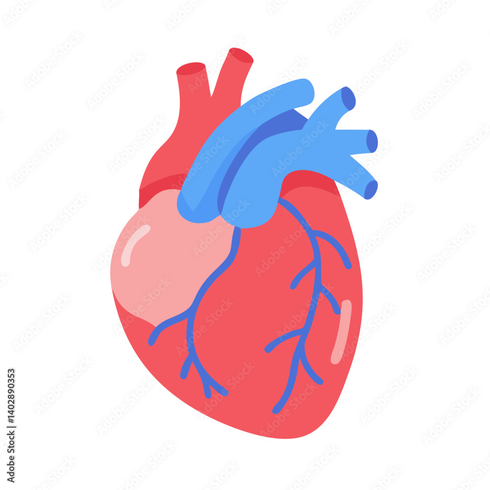 Heart Anatomy Icon Representing Cardiovascular Structure and Function Heart Anatomy Icon Representing Cardiovascular Structure and Function