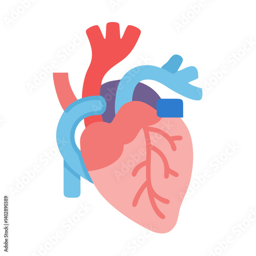 Heart and Aorta Illustration Icon Representing Cardiovascular Health and Circulation