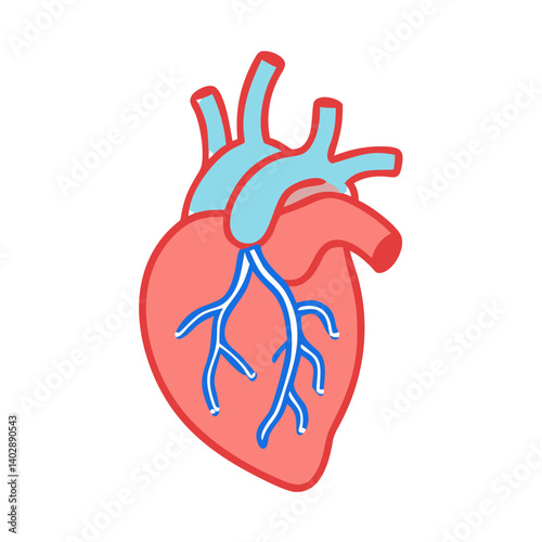 Heart with Arteries Icon Representing Cardiovascular System and Blood Circulation