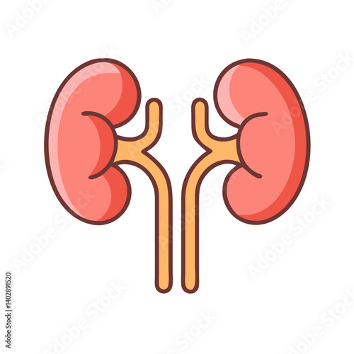 Kidneys with Ureters Icon Representing Urinary Filtration and Excretion