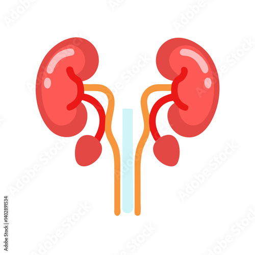 Kidneys with Ureters Icon Representing Urinary Filtration and Excretion