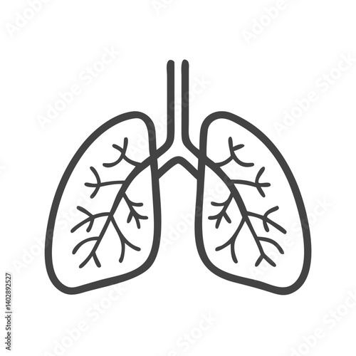 Lungs with Bronchi Icon Representing Respiratory System and Breathing Function

