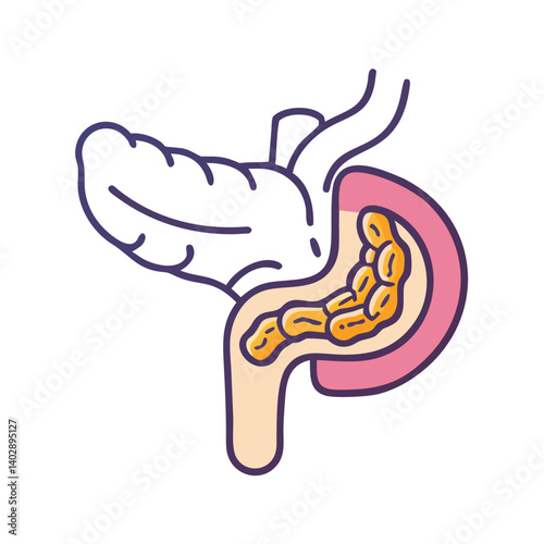 Pancreas with Duct Icon Representing Endocrine Function and Digestive Health