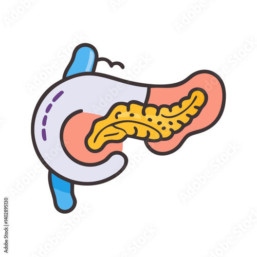 Pancreas with Duct Icon Representing Endocrine Function and Digestive Health