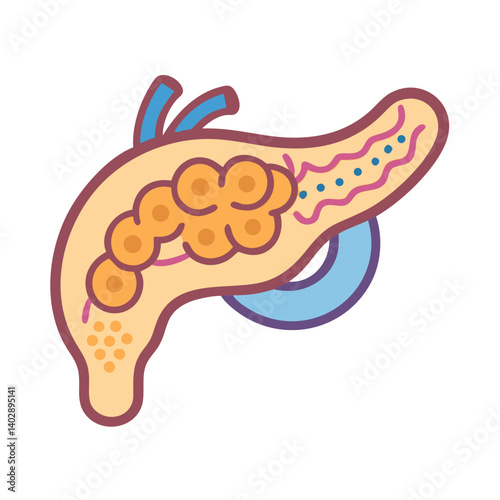 Pancreas with Duct Icon Representing Endocrine Function and Digestive Health