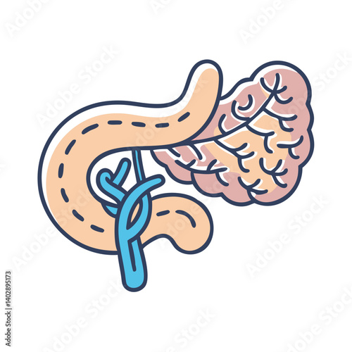 Pancreas with Duct Icon Representing Endocrine Function and Digestive Health