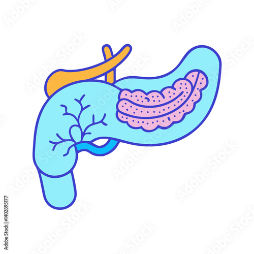 Pancreas with Duct Icon Representing Endocrine Function and Digestive Health