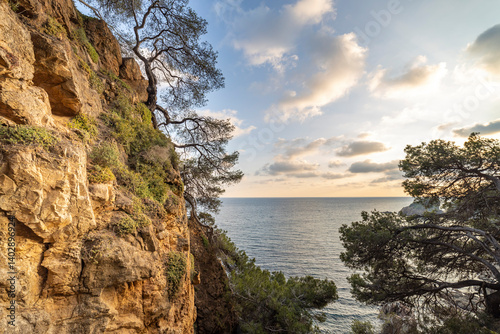 A rocky cliff overlooks the ocean with a few trees in the foreground