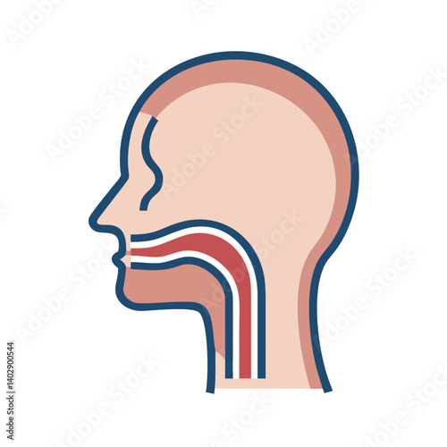 Throat and Esophagus Side View Representing Digestive and Respiratory Functions