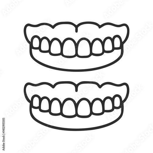 Upper and Lower Jaw Teeth Representing Dental Health and Oral Care