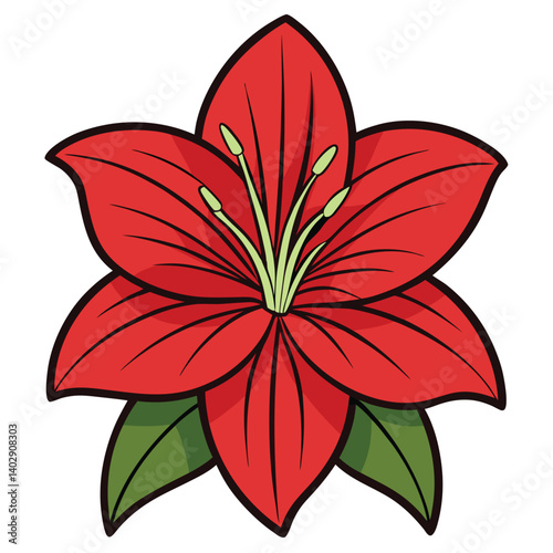 amaryllis flower details design vector style on white background 