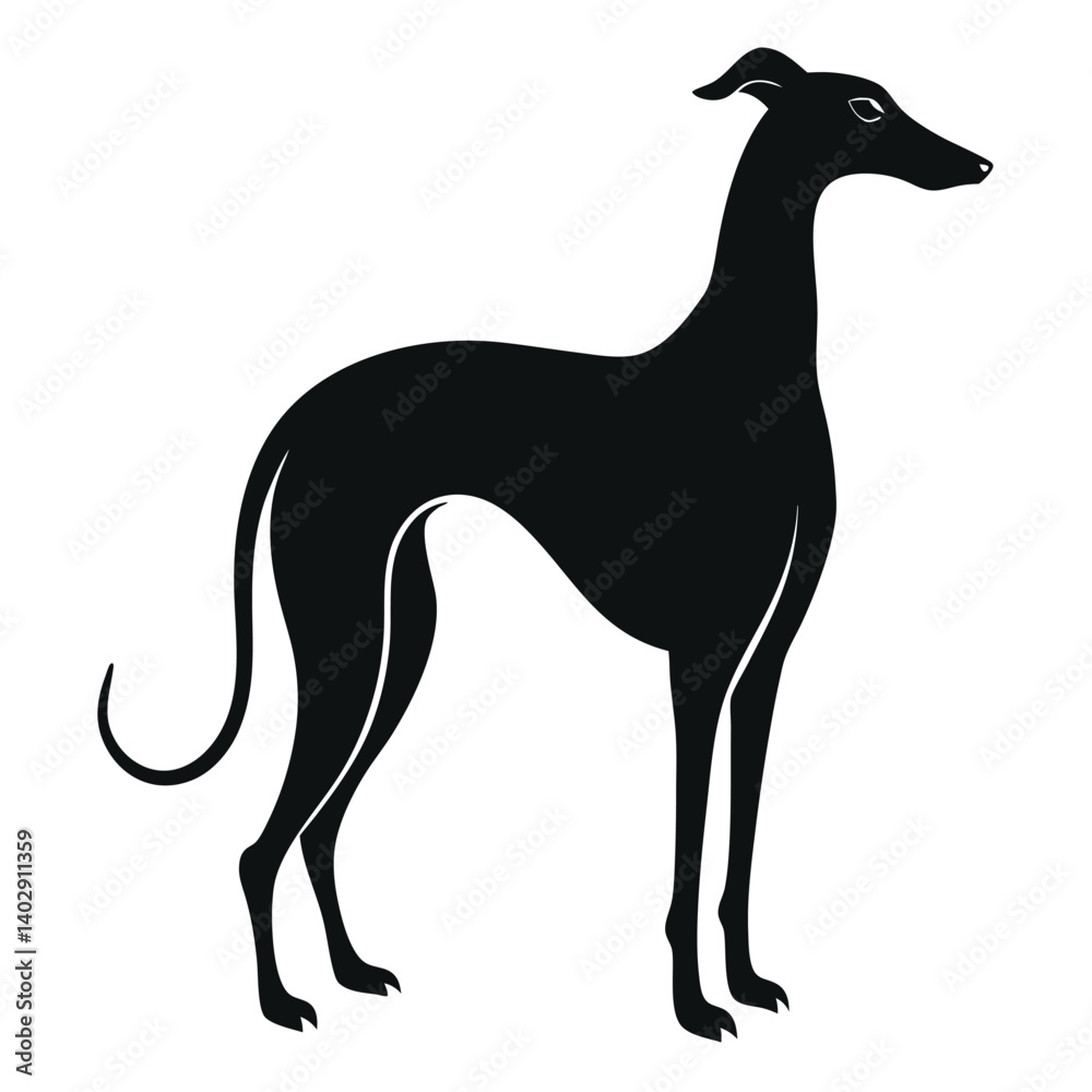Fototapeta premium howling greyhound silhouette on white background 