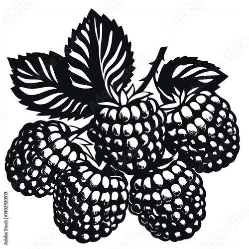 Ripe berry and fruit vector illustration with leaf and floral pattern.